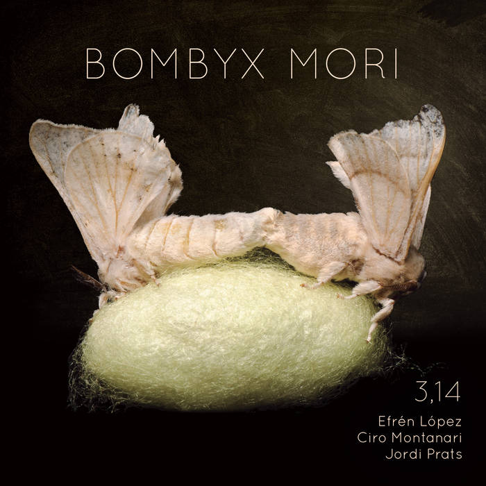 Bombyx Mori: CD Review
