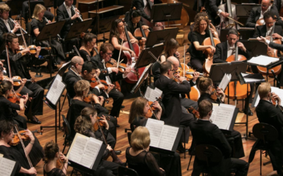 There is nothing like a live performance to lift the spirits – MSO’s Hidden Gems