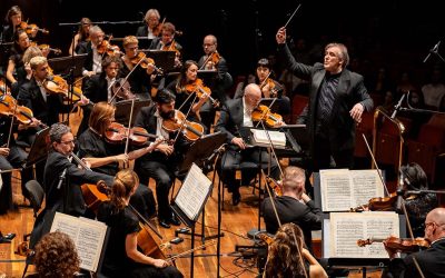 The MSO Launches 2024 Season of Storytelling