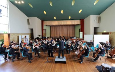 The Beecroft Orchestra | Viva the Violin