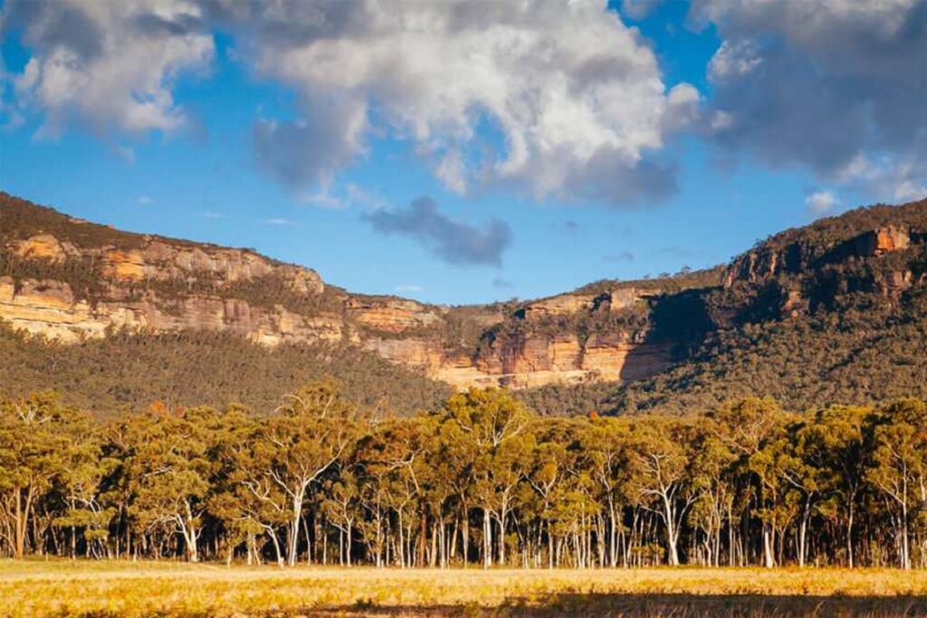 megalong valle sunny upscaled