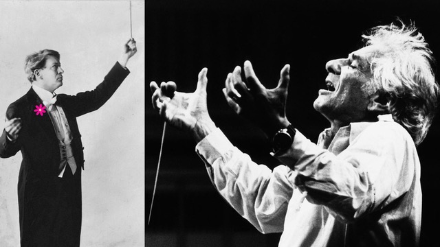 endangerred productions